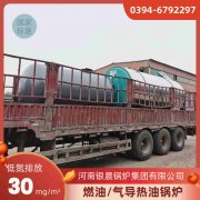 燃气化心博(中国)