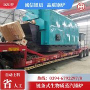 别墅用燃气心博(中国)