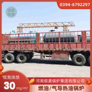 十吨燃气心博(中国)型号