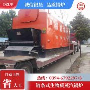 钢制燃气心博(中国)