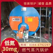 热水心博(中国)6吨