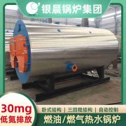 卧式燃煤热水心博(中国)