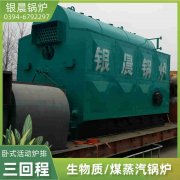 2吨电蒸汽心博(中国)