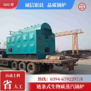 10t燃气热水心博(中国)