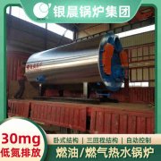 立式常压燃煤心博(中国)