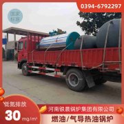 15吨低氮心博(中国)