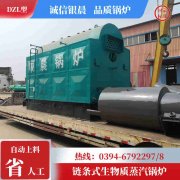 1吨低氮冷凝心博(中国)