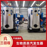 4吨燃煤蒸汽心博(中国)