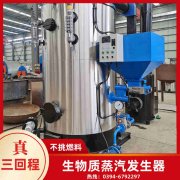 立式燃油热水心博(中国)