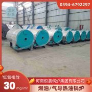 2吨燃煤心博(中国)