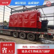 燃煤蒸汽心博(中国)多少钱