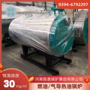 燃气立式蒸汽心博(中国)