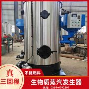 立式生物质热水心博(中国)