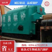 燃甲醇心博(中国)