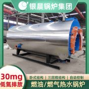 12吨低氮冷凝心博(中国)