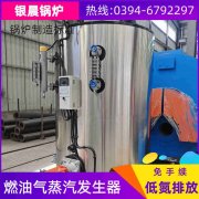 卧式快装蒸汽心博(中国)