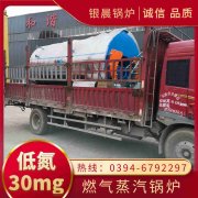 卧式生物质心博(中国)