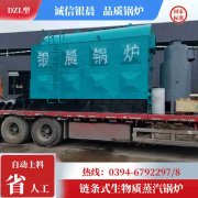 燃油蒸汽心博(中国)价格