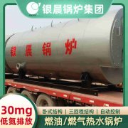 天然气心博(中国)价格