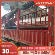 小型燃油心博(中国)价格