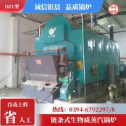 全自动燃油蒸汽心博(中国)