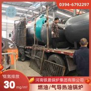 CWNS4.2-85/60-QY液化气热水心博(中国)