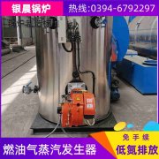 15吨燃气热水心博(中国)