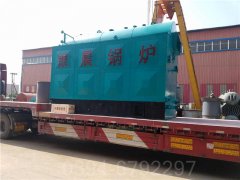 河北CWNS7-85/60-QY热水心博(中国)