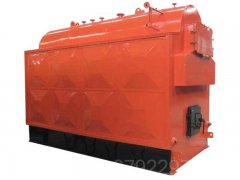 福建12吨燃油热水心博(中国)