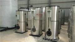 山西90kw燃油热水心博(中国)