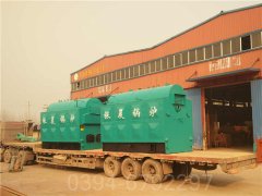 广东CWNS0.7-85/60-QY热水心博(中国)