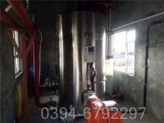 湖南350kw燃油热水心博(中国)