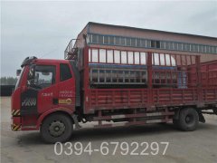 广东CWNS0.49-85/60-QY热水心博(中国)