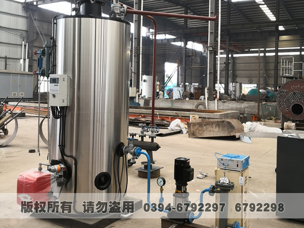 立式蒸汽心博(中国)