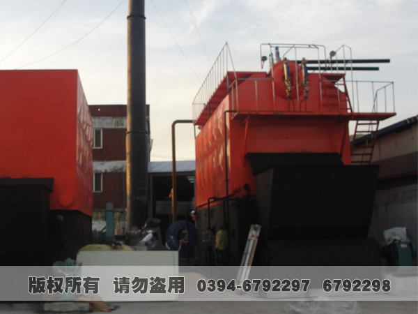 燃煤蒸汽心博(中国)