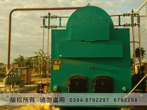 蒸汽心博(中国)