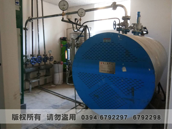 电加热蒸汽心博(中国)