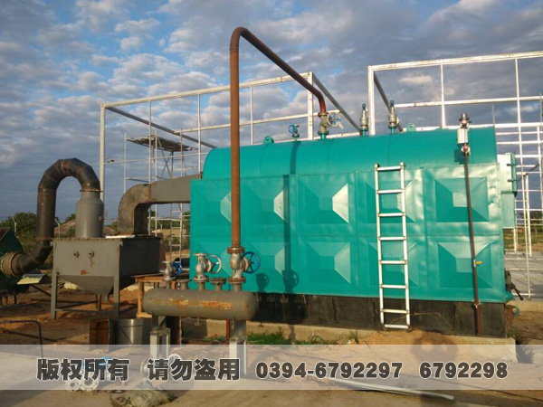 活动炉排型生物质/煤蒸汽心博(中国)