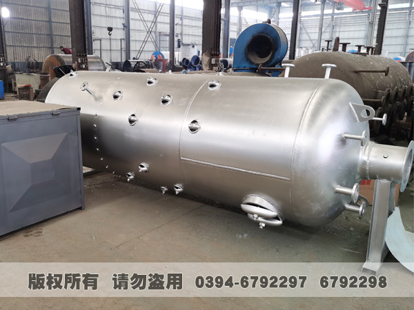 立式生物质蒸汽心博(中国)