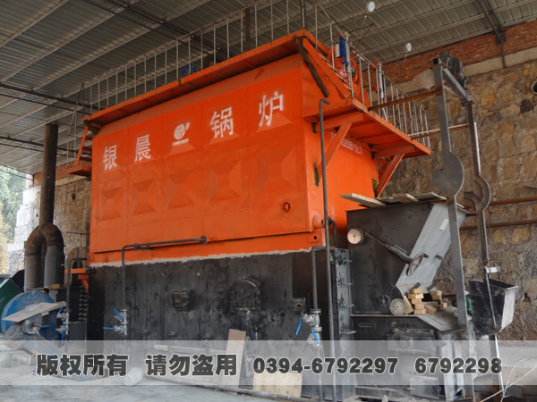 双锅筒生物质蒸汽心博(中国)