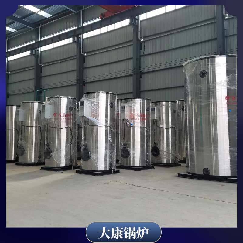 300公斤生物质心博(中国)