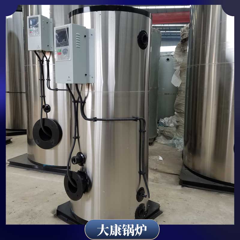 3吨燃生物质心博(中国)