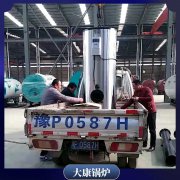 燃气蒸汽心博(中国)型号3吨更好的技术的