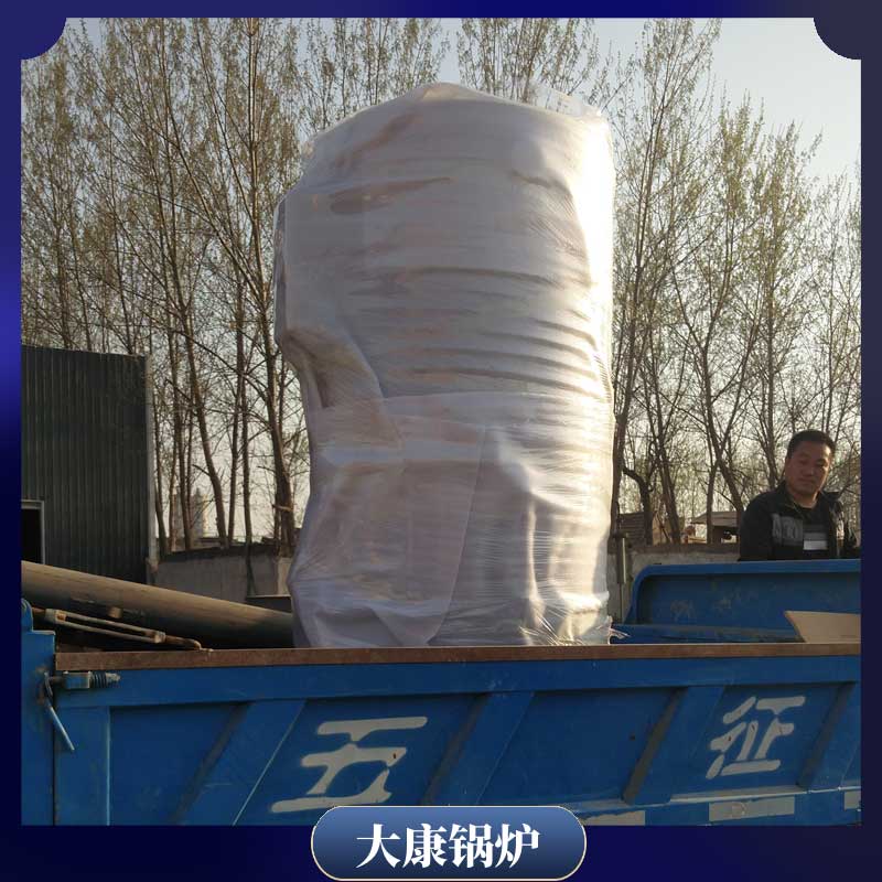 6吨低氮蒸汽心博(中国)