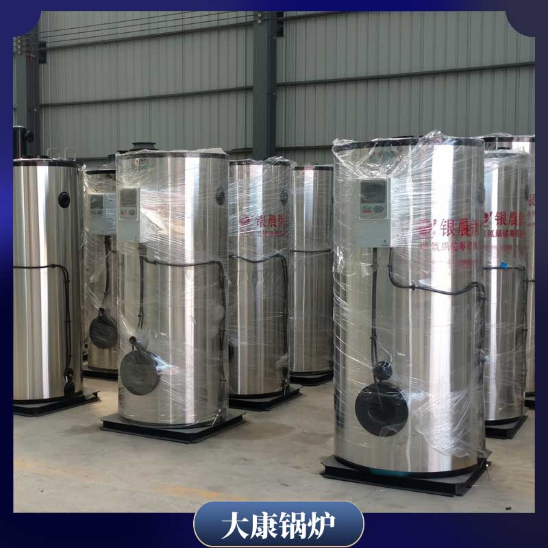 生物质4吨心博(中国)