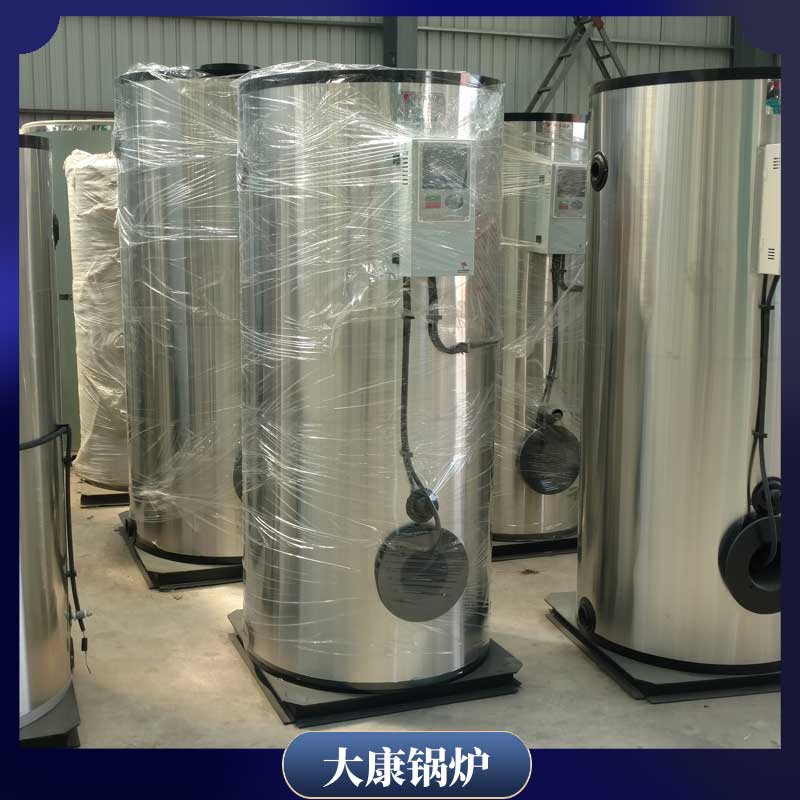 6t生物质燃料心博(中国)