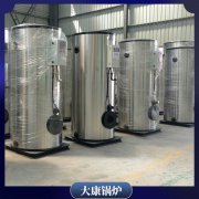 中国三吨低氮蒸汽心博(中国)