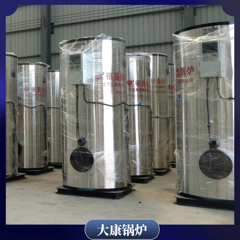 生物质心博(中国)3吨