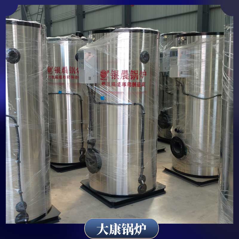 10t生物质蒸汽心博(中国)