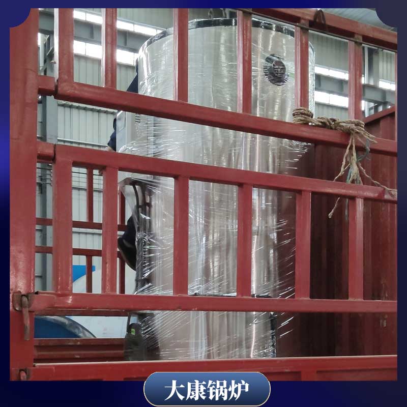 3吨导热油燃气心博(中国)